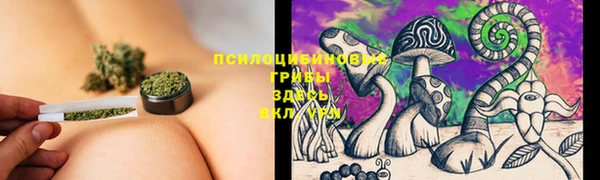 альфа пвп VHQ Гусиноозёрск