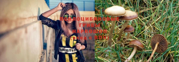 mdpv Гусь-Хрустальный