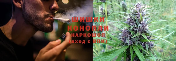 mdpv Гусь-Хрустальный